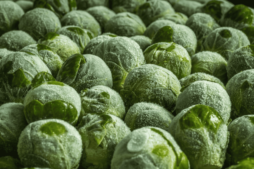 Brussels Sprouts Grow Like Crazy