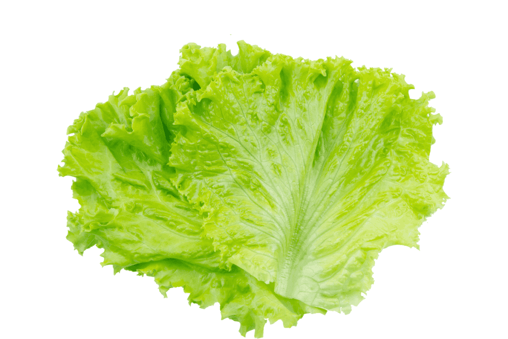 What Types of Lettuces Can You Grow?